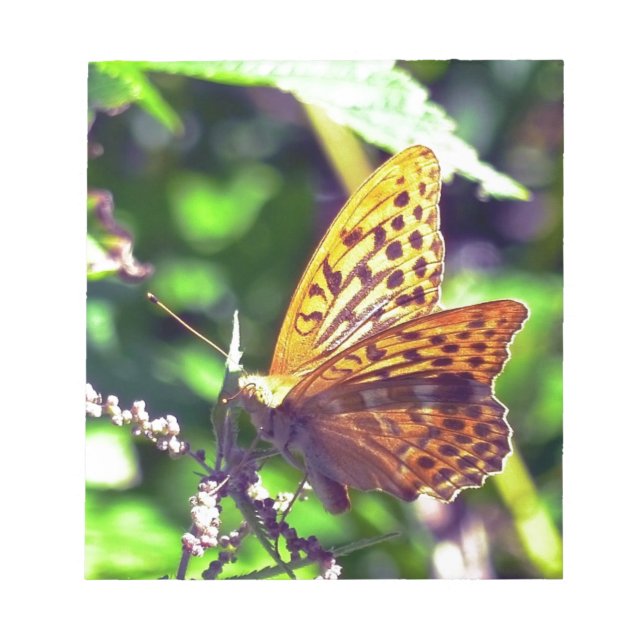 Bloc De Notas Hermosa Naranja y mariposa con manchas negras (Frente)