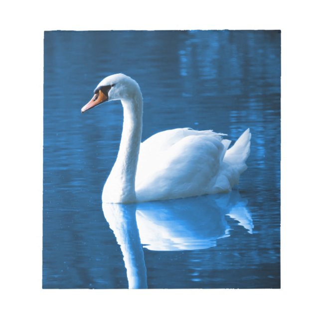 Bloc De Notas Hermoso cisne blanco en el agua (Frente)