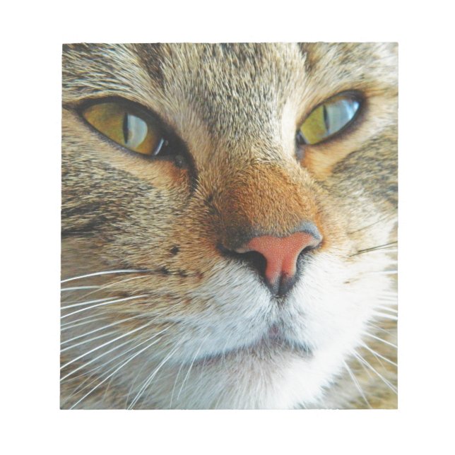 Bloc De Notas Hermoso Gato (Frente)