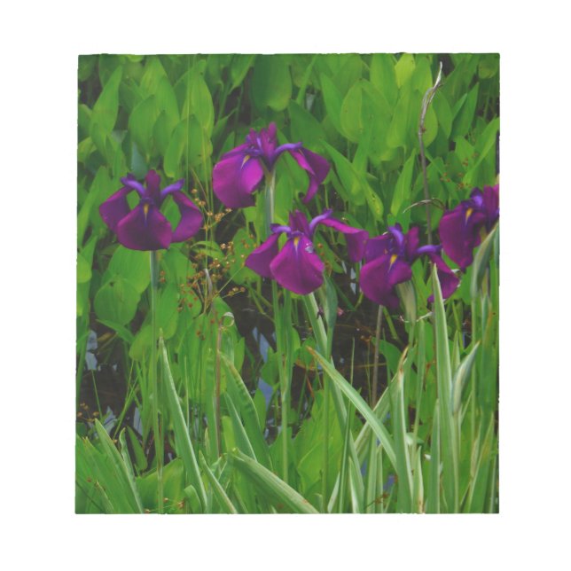 Bloc De Notas Hermoso Iris Morado (Frente)