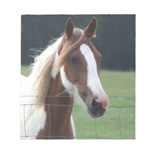 Bloc De Notas Hermoso Pinto Caballo en la valla