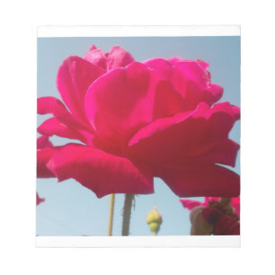 Bloc De Notas Hermoso Rosa Celestial Rojo Contra Azul