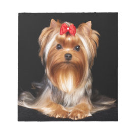 Bloc De Notas Hermoso Yorkshire Terrier