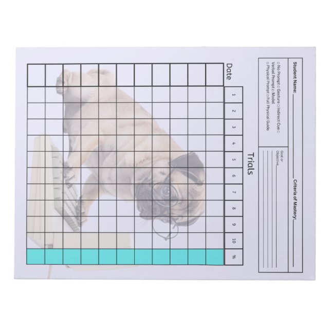 Bloc De Notas Herramienta Esencial SpEd: Hoja de Datos en Blanco (Frente)