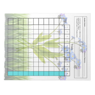 Bloc De Notas Herramienta Esencial SpEd: Hoja de Datos en Blanco