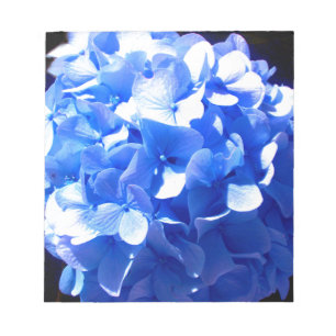 Bloc De Notas Hidrenajes azules florales de cobalto elegantes az