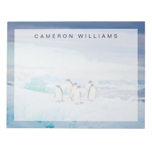 Bloc De Notas Hielo y nieve   Adelie Penguins Antártida