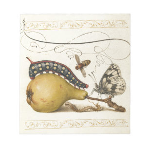 Bloc De Notas Hoefnagel Vintage Peras e Insectos del siglo XVI R