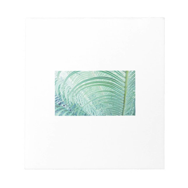 Bloc De Notas Hoja de palma de planta verde suave (Frente)