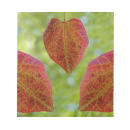 Bloc De Notas Hojas de amor de la naturaleza