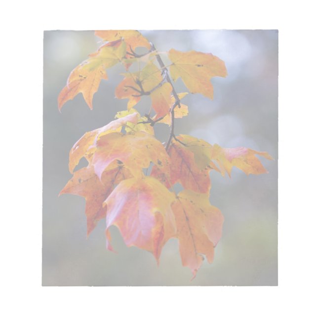 Bloc De Notas Hojas otoñales (Frente)