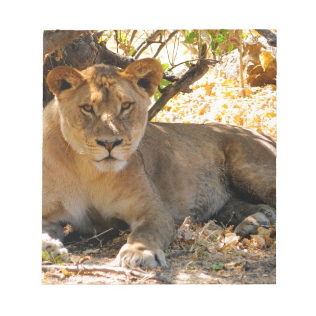 Bloc De Notas Hora de Siesta (Frente)