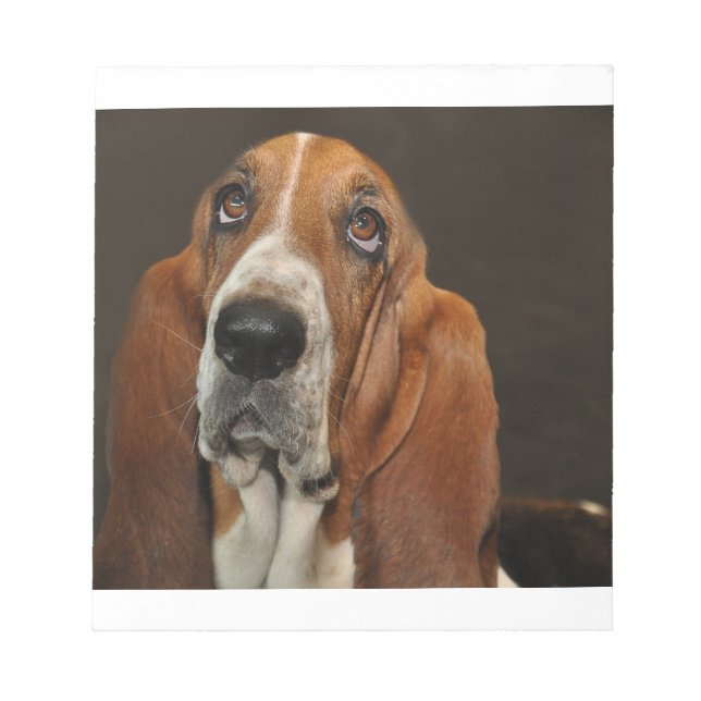 Bloc De Notas hound 2 de bassett (Frente)