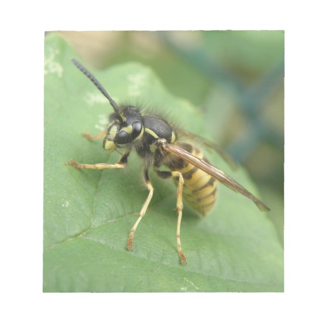 Bloc De Notas Hoverfly Macro Notepad (Frente)