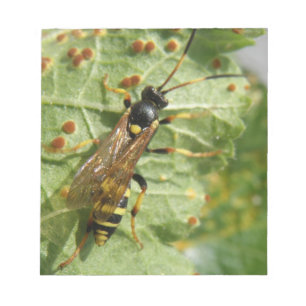 Bloc De Notas Hoverfly Notepad
