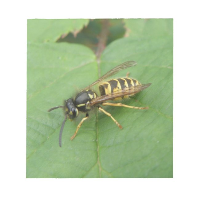 Bloc De Notas Hoverfly on the Leaf Notepad (Frente)