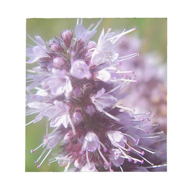 Bloc De Notas Hübsche lila Wildblüten (Frente)