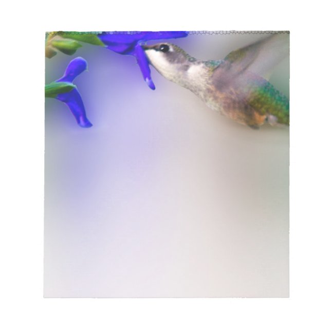 Bloc De Notas Hummingbird Lunch (Frente)