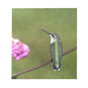 Bloc De Notas Hummingbird y Zinnia
