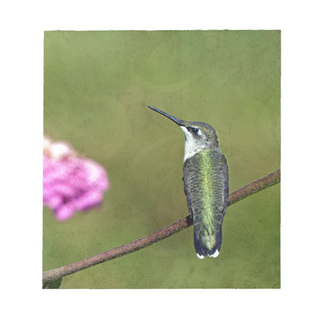Bloc De Notas Hummingbird y Zinnia (Frente)