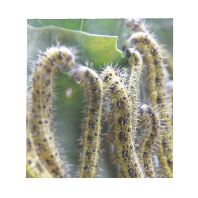 Bloc De Notas Hunbage Cabbage White Caterpillar Notepad (Frente)