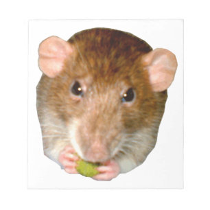 Bloc De Notas Hungry Rat Notepad