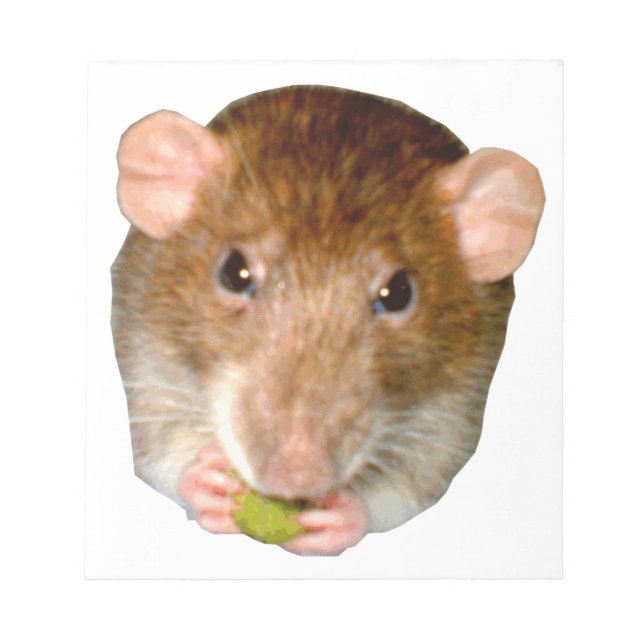 Bloc De Notas Hungry Rat Notepad (Frente)