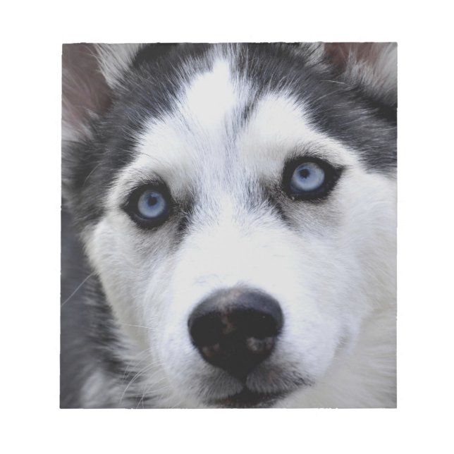 Bloc De Notas Husky Puppy Notepad (Frente)