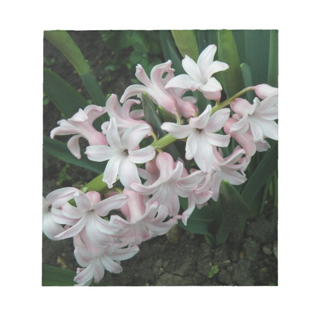 Bloc De Notas Hyacinths Notepad (Frente)