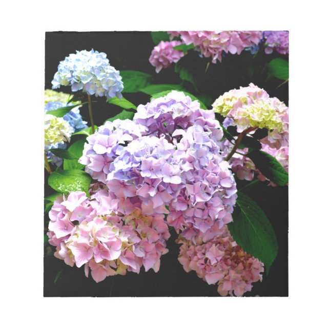 Bloc De Notas Hydrangea garden, rosa, azul, violeta floral (Frente)