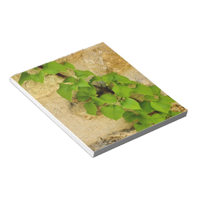 Bloc De Notas Hydrangea petiolaris (Lado Derecho)