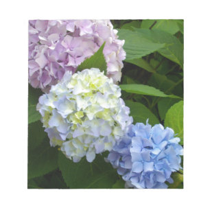 Bloc De Notas Hydrangeas