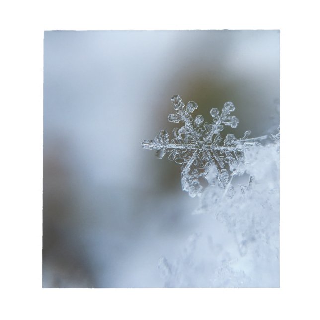 Bloc De Notas Icy Snowflake (Frente)