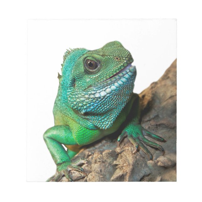Bloc De Notas iguana verde (Frente)