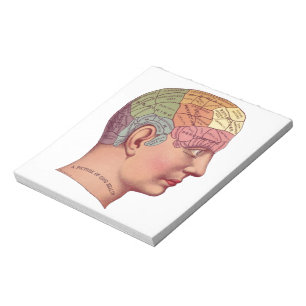 Bloc De Notas Ilustracion de la función del cerebro ventilado