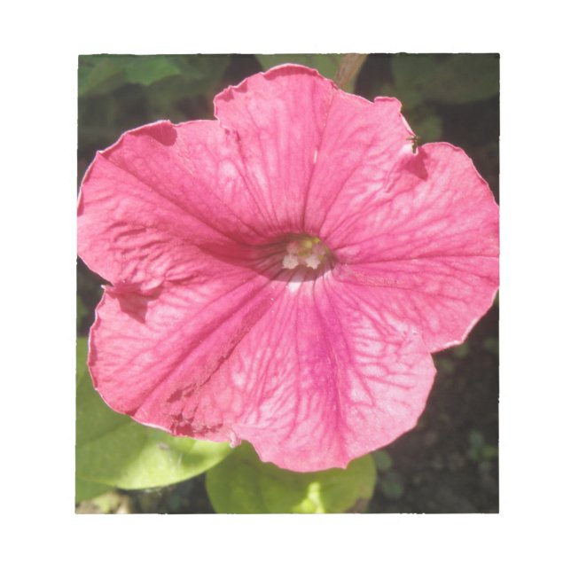 Bloc De Notas Impatiens Notepad rosa oscuro (Frente)