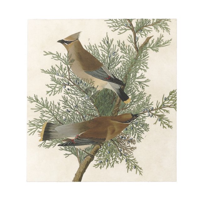 Bloc De Notas Impresión de ave de John James Audubon Cedar Waxwi (Frente)