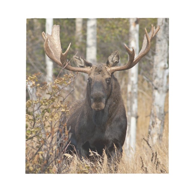 Bloc De Notas Impresionante alce toro (Frente)