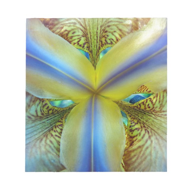 Bloc De Notas Interior de Iris (Frente)