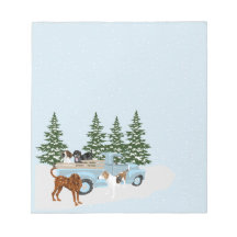 Invierno de Coonhound