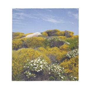 Bloc De Notas Italia, Cerdeña, Santa Teresa Gallura. Capo 3