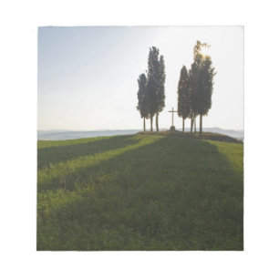 Bloc De Notas Italia, Toscana, Cipreses en Toscana con