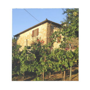 Bloc De Notas Italia, Toscana, Greve. Escenas de vino a finales 