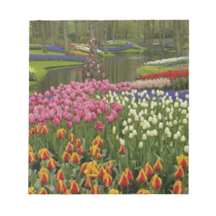 Bloc De Notas jardín de tulipanes e jacintos, Jardines Keukenhof