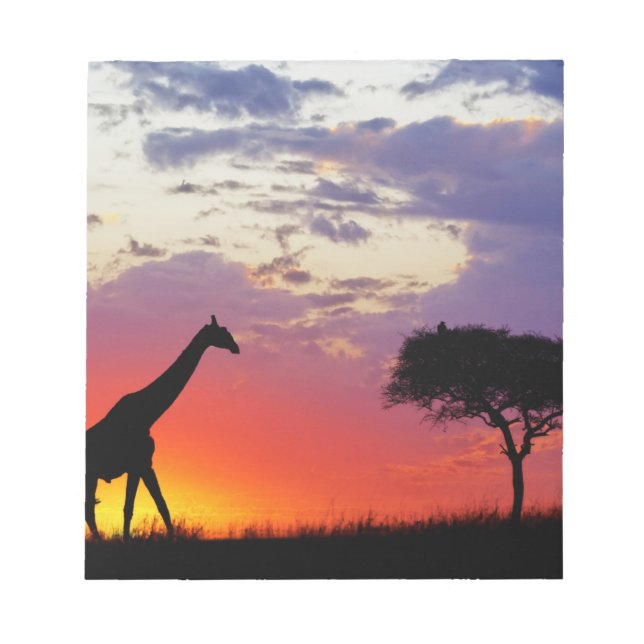 Bloc De Notas Jirafa silueteada al amanecer, Giraffa (Frente)