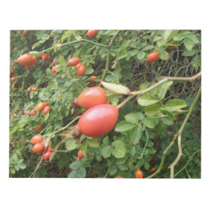 Bloc De Notas Juicy Red Rose Hips Notepad