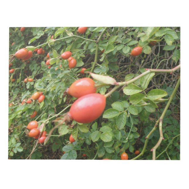 Bloc De Notas Juicy Red Rose Hips Notepad (Frente)