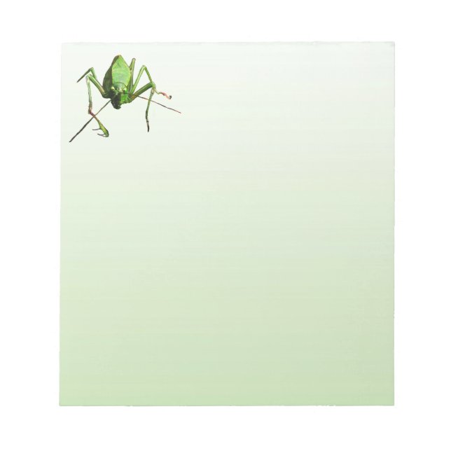 Bloc De Notas Katydid (Frente)
