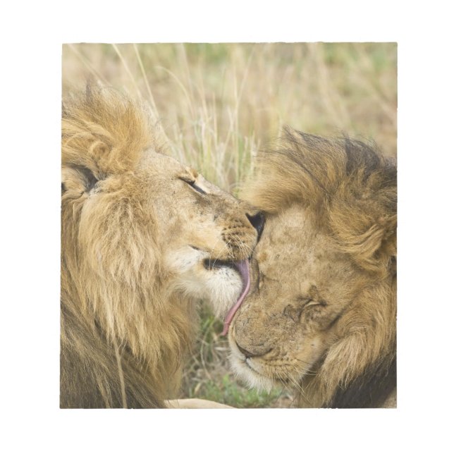 Bloc De Notas Kenia, Masai Mara (Frente)