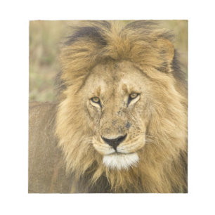 Bloc De Notas Kenia Masai Mara